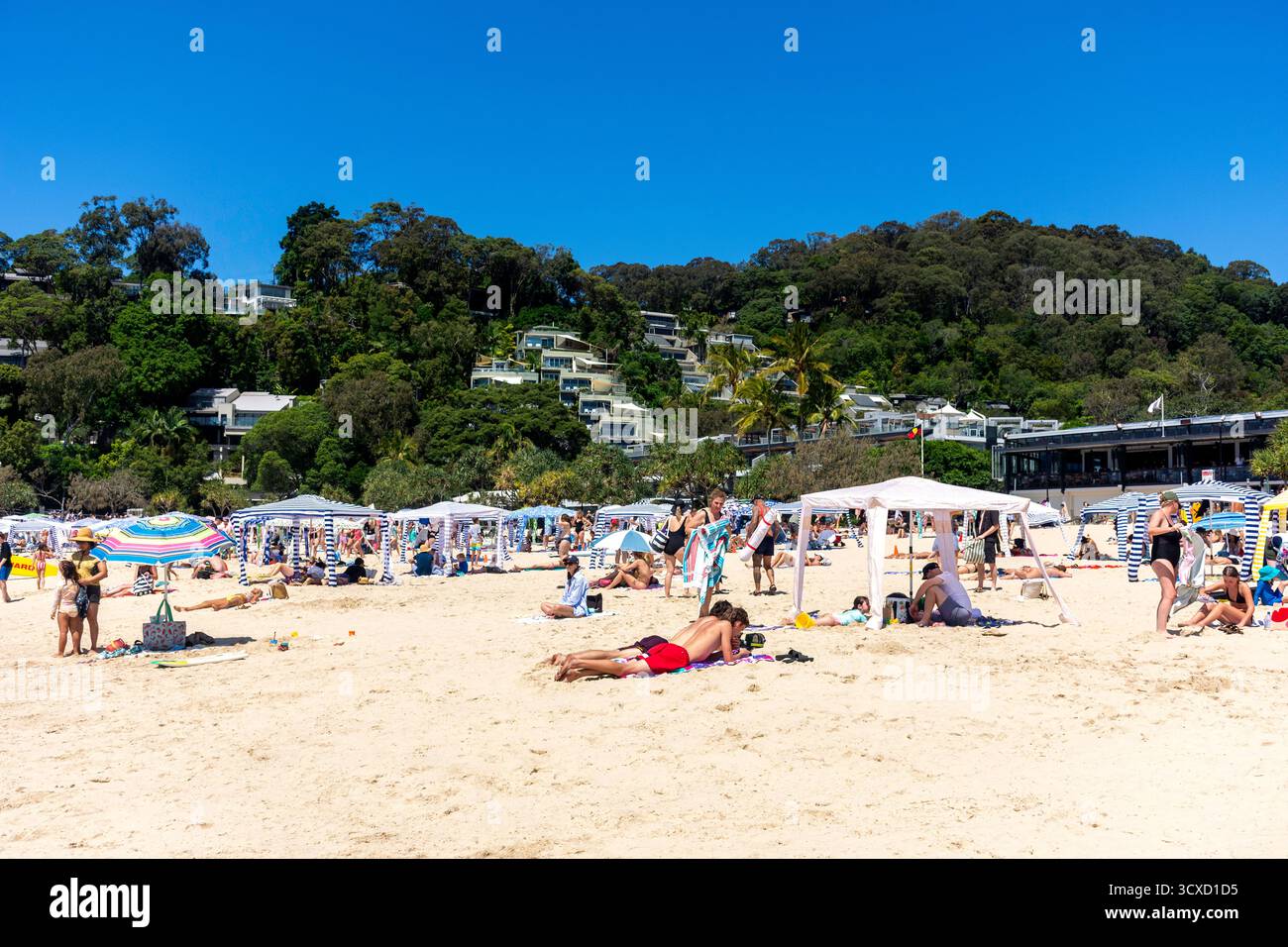 Noosa Heads main Beach, Noosa Heads, Shire of Noosa, Sunshine Coast Region, Queensland, Australie Banque D'Images