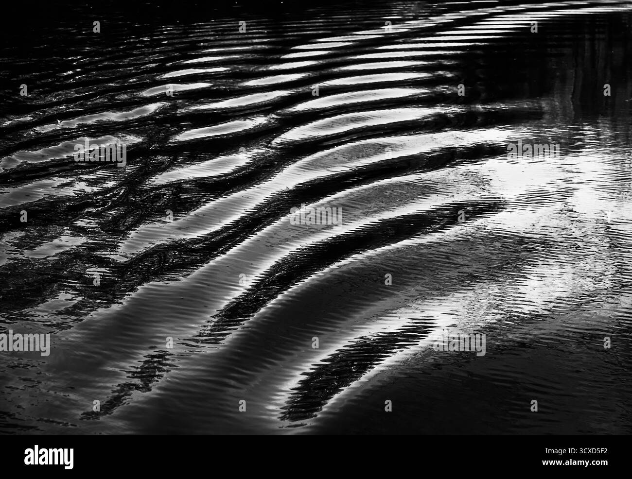 Abstrait noir et blanc du sillage ondulant du bateau créant des motifs à la surface de l'eau Banque D'Images