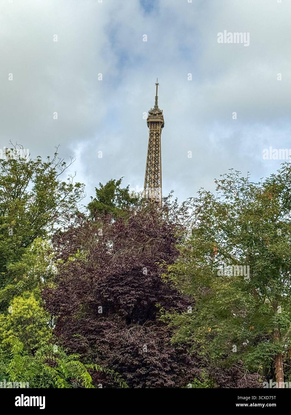 Une vue unique en bas angle de la tour Eiffel à Paris, en France, s'élevant de façon spectaculaire au-dessus du feuillage d'automne vibrant. Banque D'Images