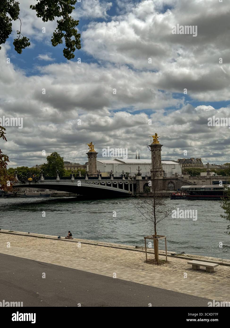 Emblématique Pont Alexandre III à Paris, avec ses statues dorées, vu des berges paysagées de la Seine sous un ciel nuageux spectaculaire. Banque D'Images