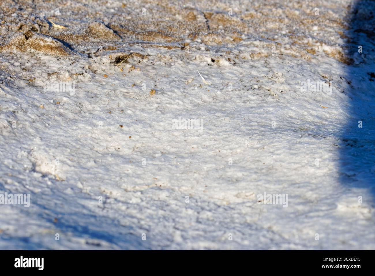 Gros plan de cristaux de sel sur une surface, créant un motif texturé. Dépôt de sel sur la surface Banque D'Images