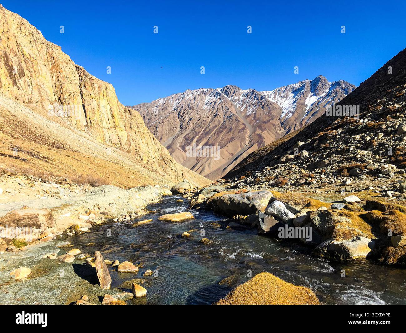 Au-dessus de 3000 mètres, un ruisseau turquoise coule tranquillement entre des buissons cuivrés, créant un mélange parfait d'eau et de teintes automnales Banque D'Images
