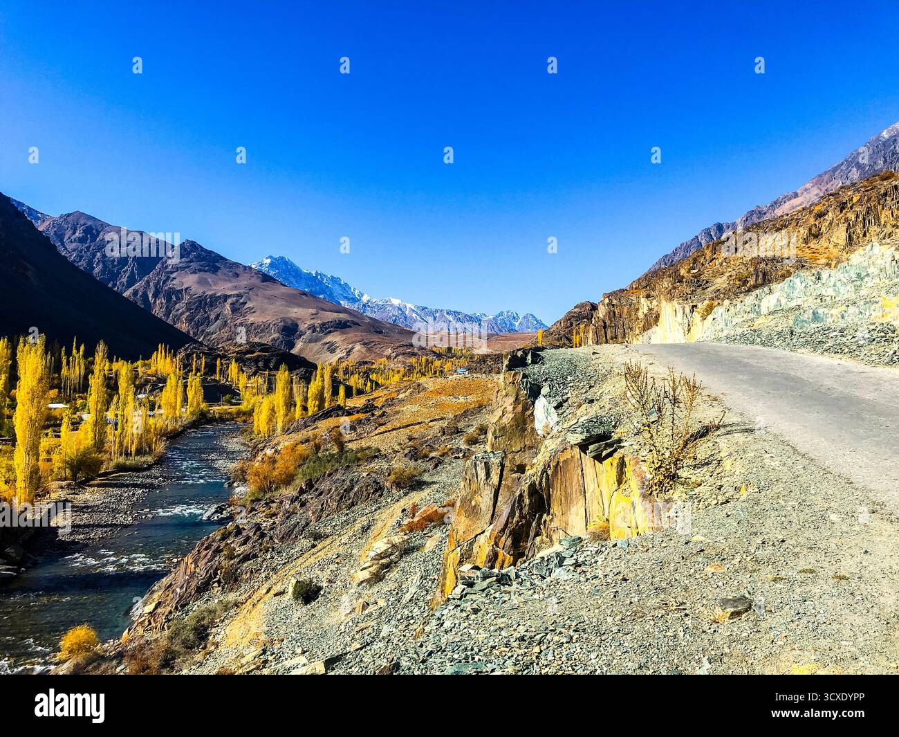 Un ruisseau cristallin coule au-dessus de 3000 mètres dans le Karakoram, tissant à travers des arbustes dorés d'automne sous les pics de granit imposants Banque D'Images