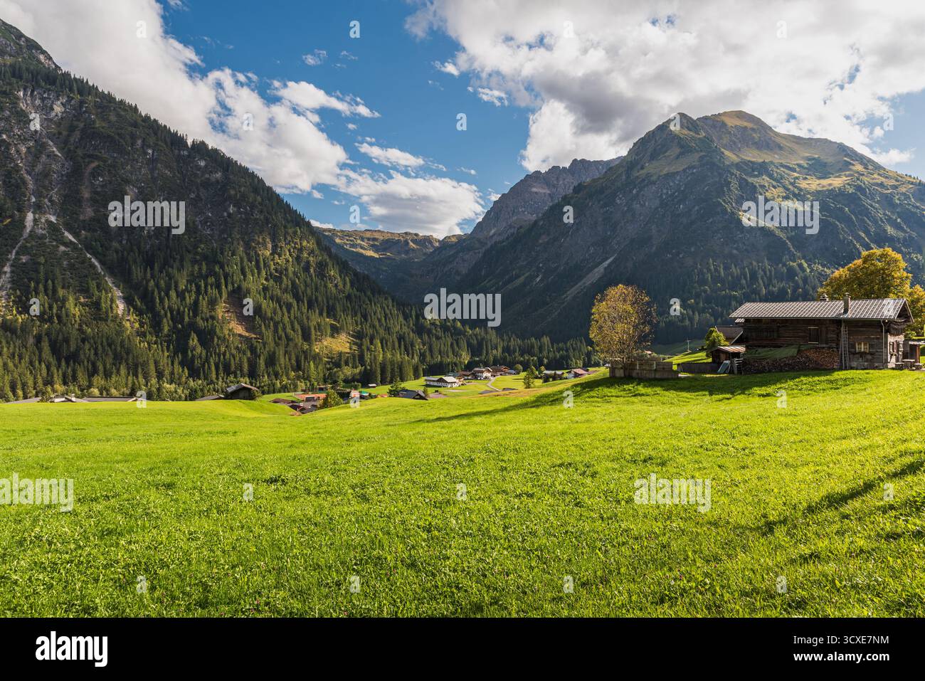 Paysage alpin dans la vallée de Kleinwalsertal, Mittelberg, Vorarlberg, Alpes autrichiennes, Autriche. Banque D'Images