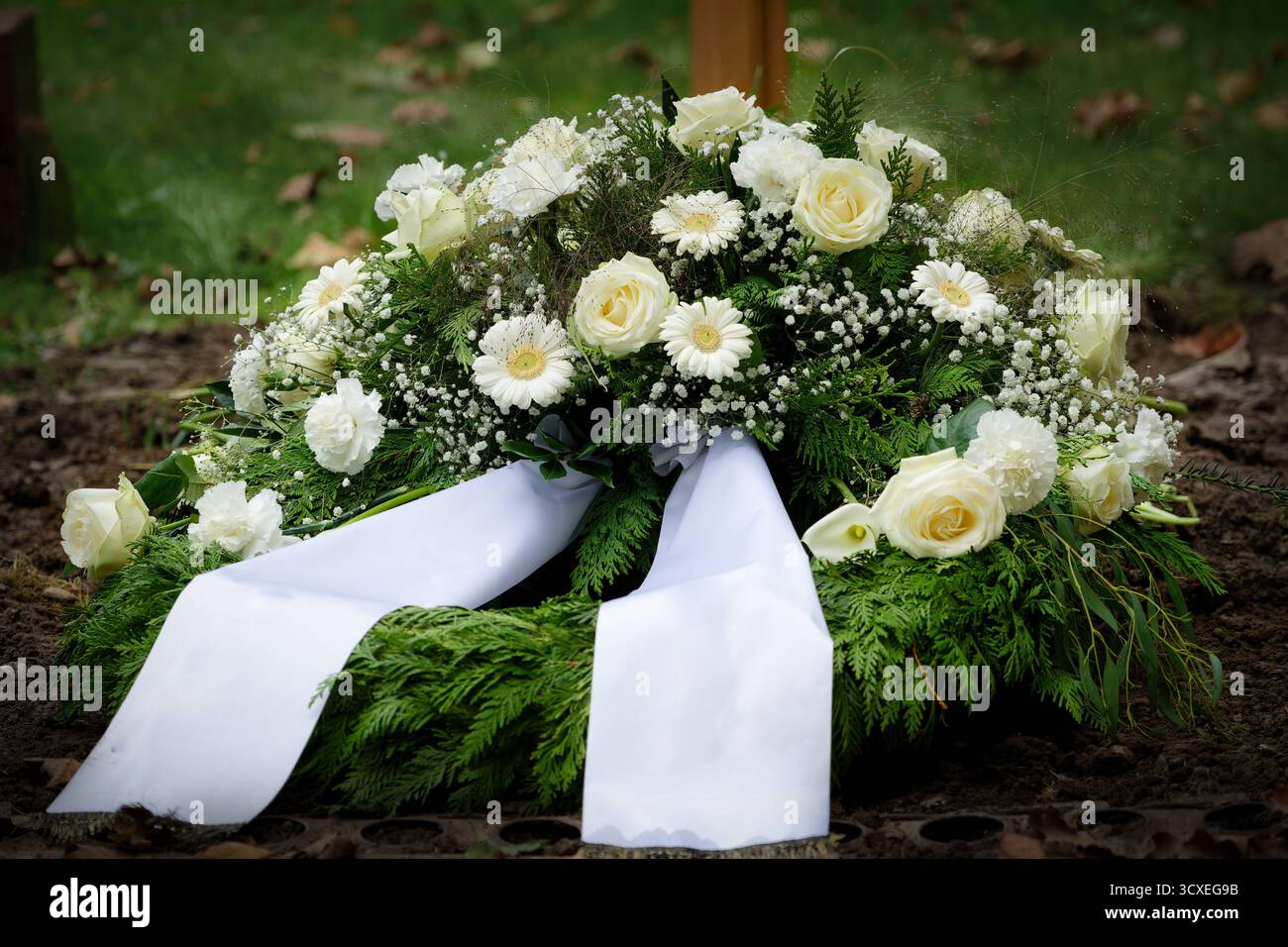 Couronne funéraire traditionnelle avec roses blanches, marguerites et haleine de bébé, couchée sur un sol funéraire fraîchement creusé avec Un ruban blanc blanc de satin Banque D'Images
