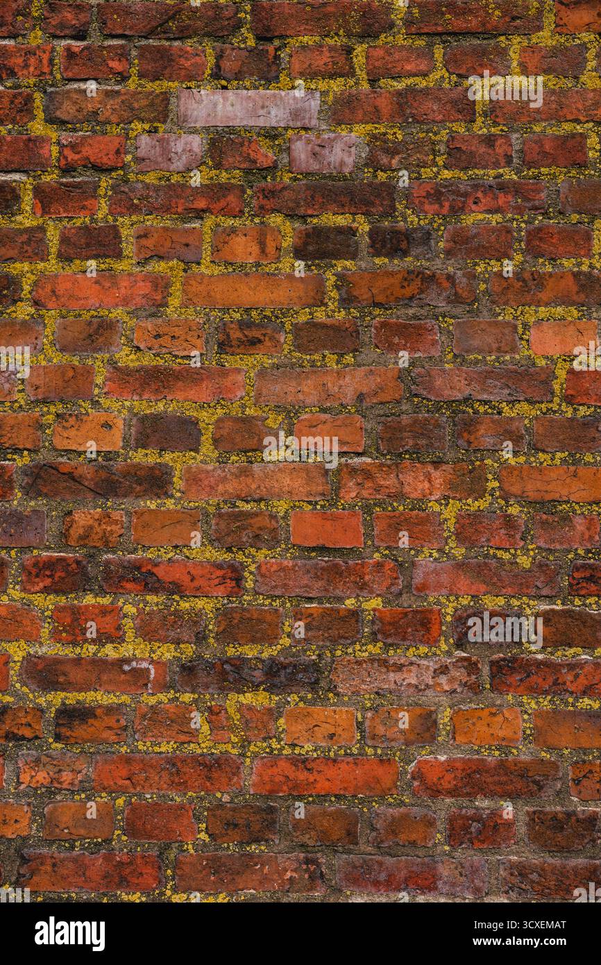 Texture d'un mur médiéval en briques orange Banque D'Images
