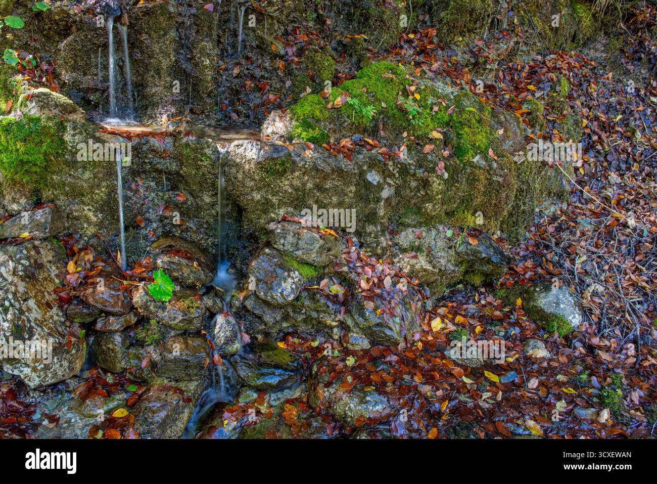 De l'eau pure qui coule de la montagne Banque D'Images