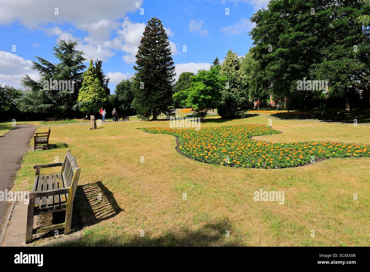 Vue estivale des Miners Welfare Gardens, Bedworth Town, Warwickshire, Angleterre, Royaume-Uni Banque D'Images
