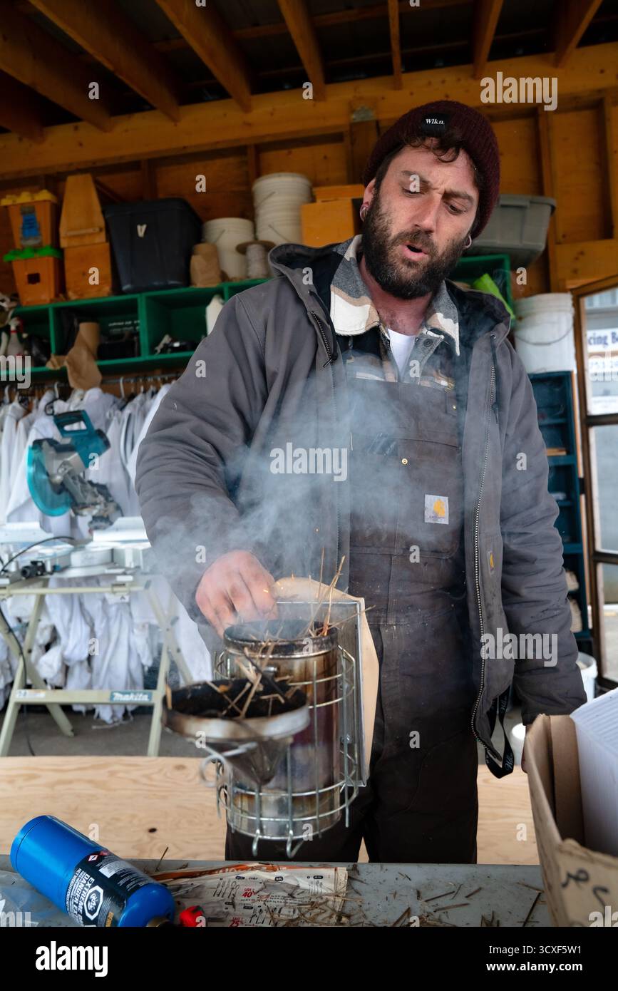 Un apiculteur se tient dans un hangar en bois tenant un fumeur éclairé, avec de la fumée visible qui monte dans le cadre de la préparation de la ruche à Dancing Bee Farm Banque D'Images