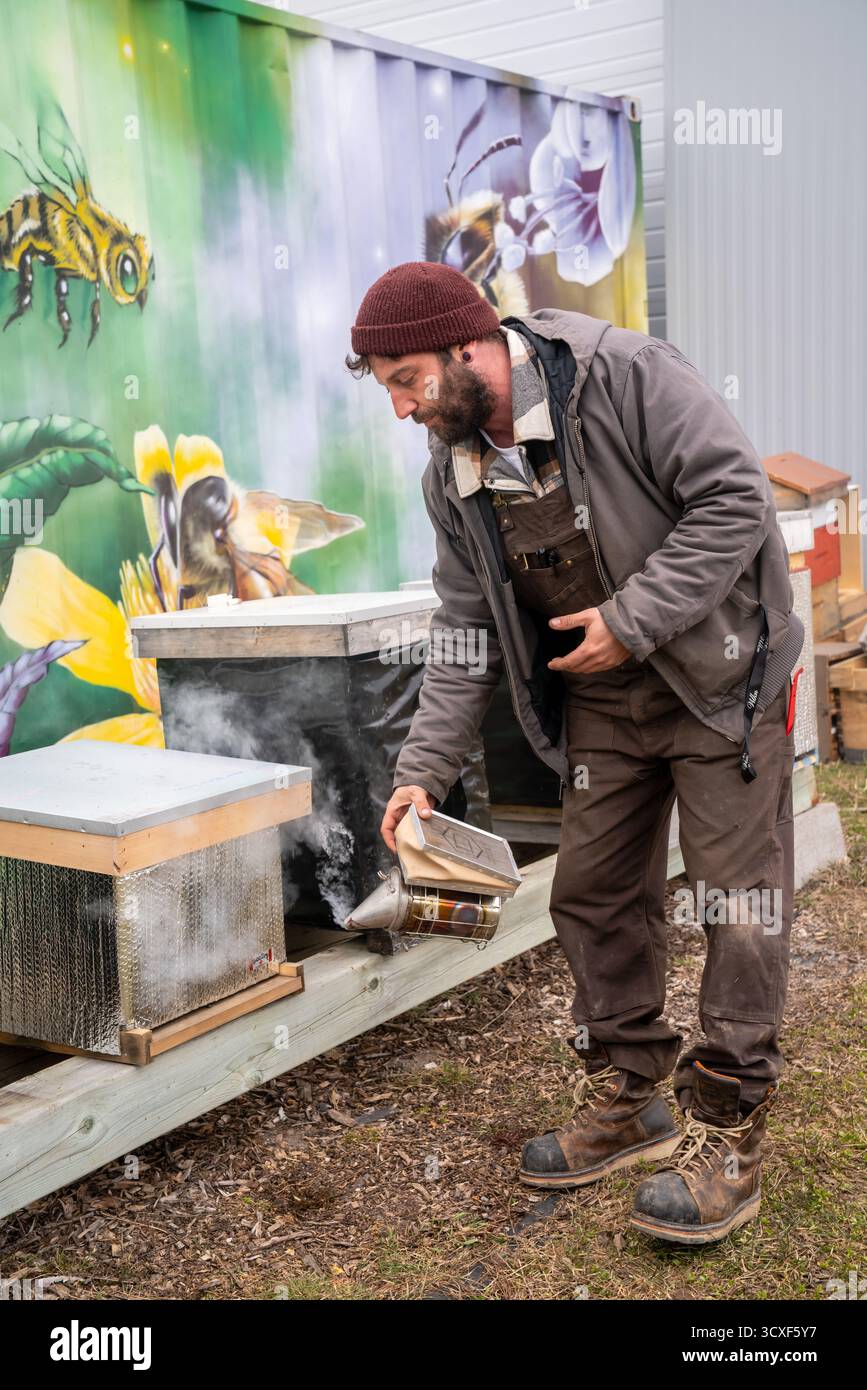 Un apiculteur utilise un fumeur pour calmer les abeilles à Dancing Bee Farm, debout à côté de boîtes de ruches peintes de couleurs vives avec des peintures murales sur le thème des abeilles Banque D'Images