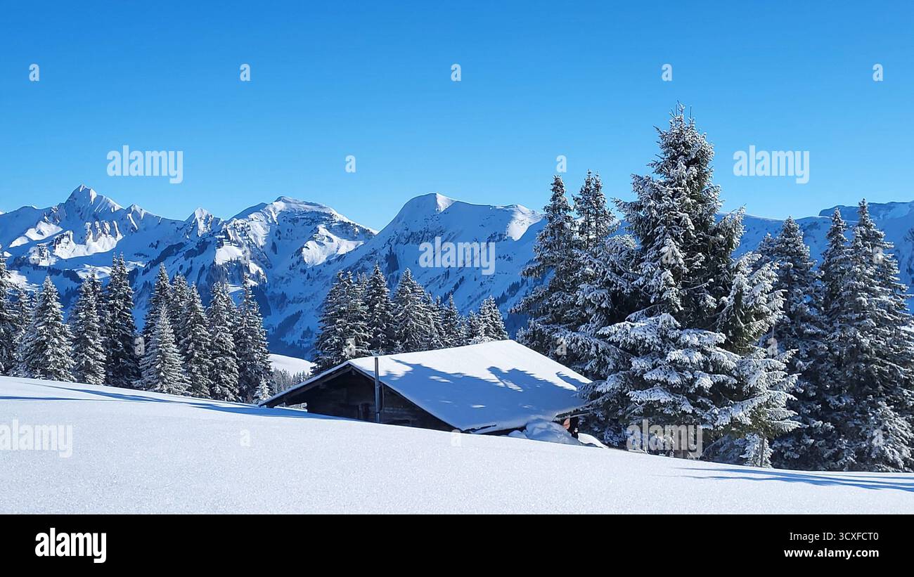 Paysage hivernal de conte de fées dans les montagnes suisses avec une cabane alpine, des sapins enneigés et des montagnes en arrière-plan sous un ciel bleu profond Banque D'Images