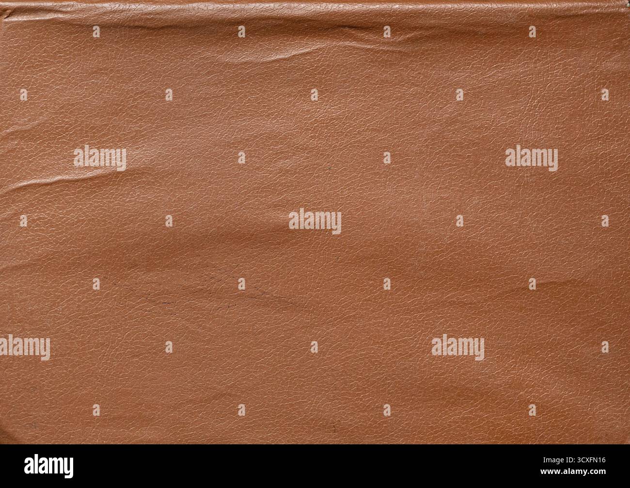Surface en cuir marron présentant un grain de peau complexe et des plis subtils Banque D'Images