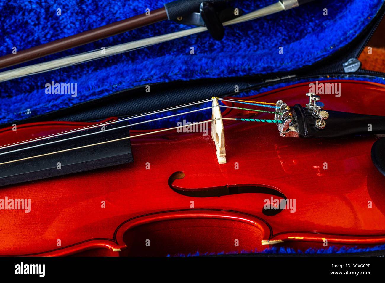 Gros plan d'un violon rouge poli avec arc reposant à l'intérieur d'un étui bleu doublé de velours. Instrument de musique, pont de violon, cordes de violon, arc de violon. Banque D'Images