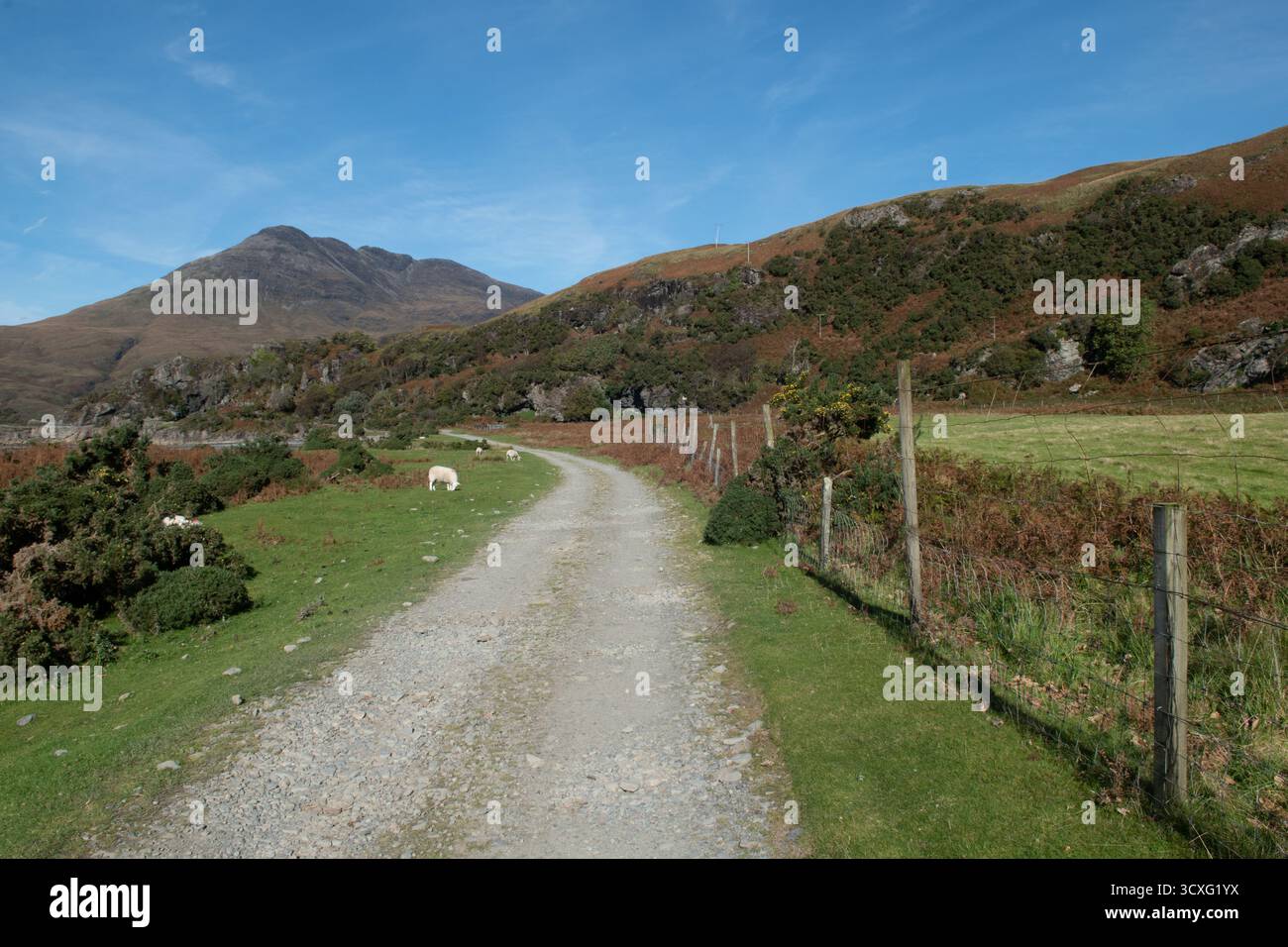 Ben Buie de Laggan, île de Mull, Écosse Banque D'Images