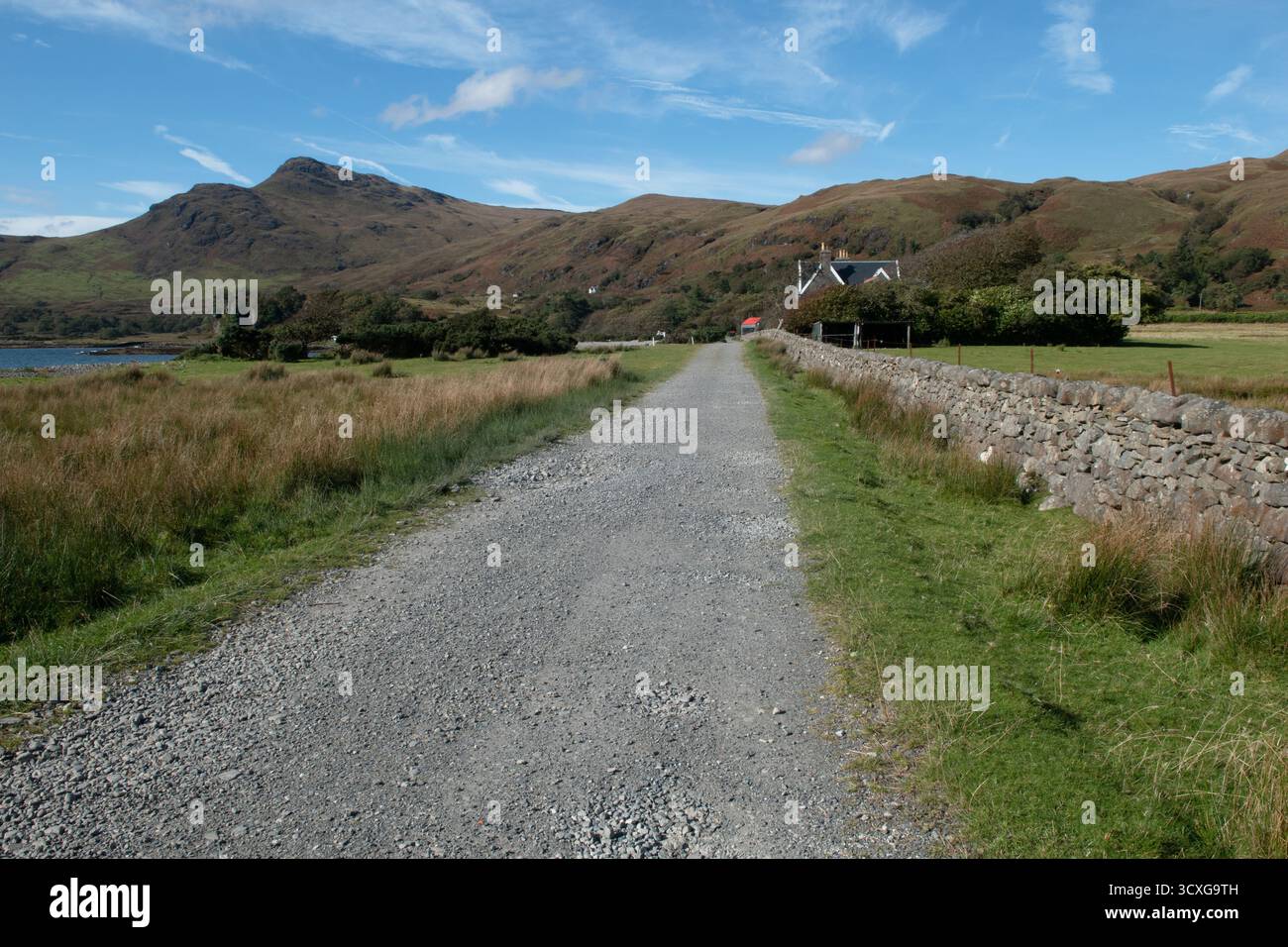 Chemin de ferme et mur de pierre sèche, Lochbuie, île de Mull, Écosse Banque D'Images