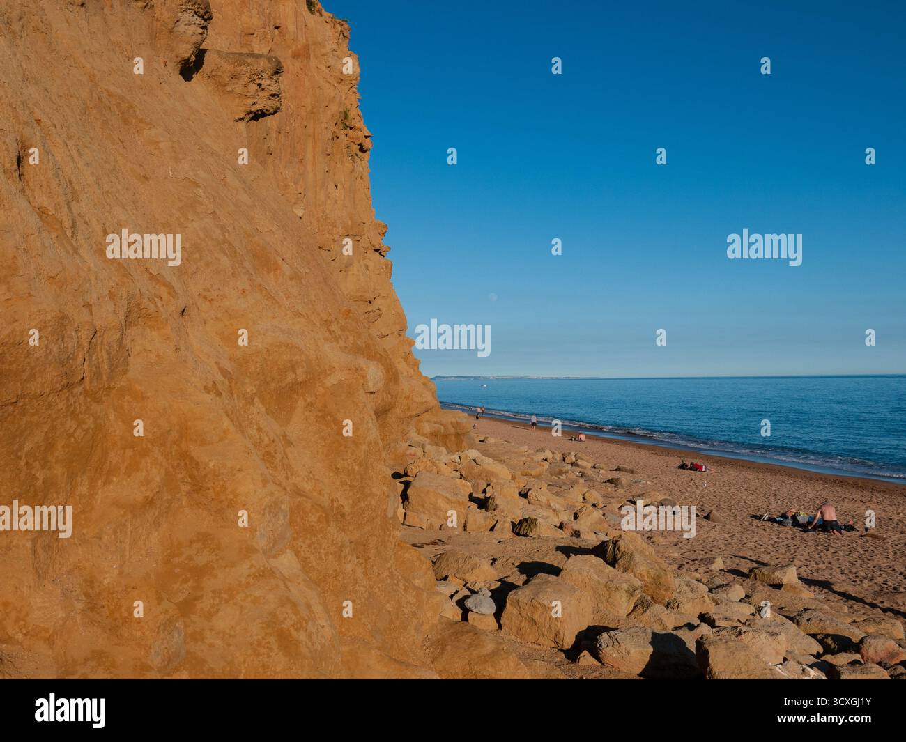 Falaises de grès doré et plage sur la côte du Dorset avec un ciel bleu clair Banque D'Images