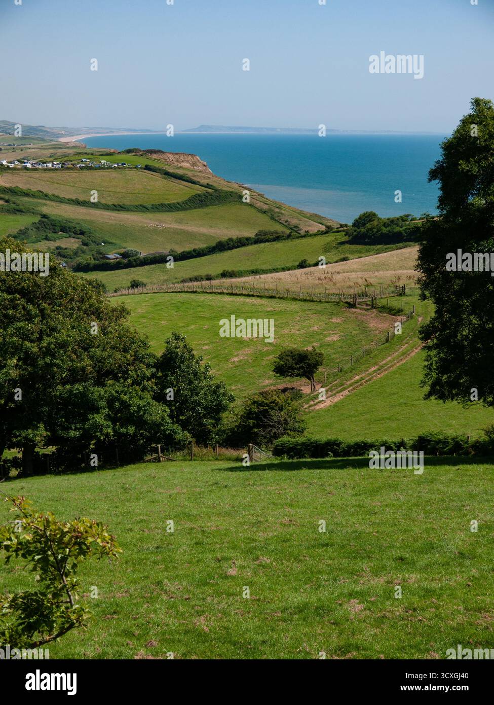 Champs verdoyants et falaises côtières surplombant la mer dans la campagne rurale du Dorset Banque D'Images