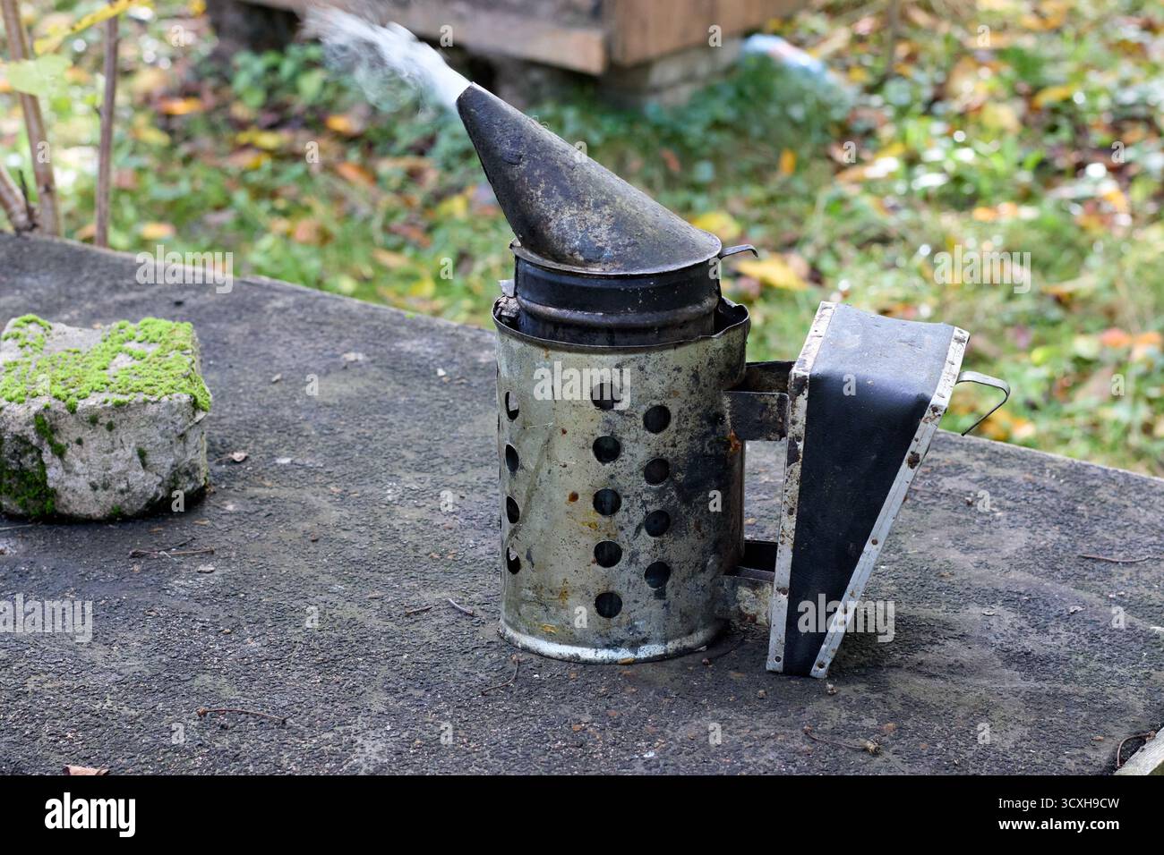 Fumeur d'abeille émettant de la fumée debout sur une surface en béton, équipement d'apiculture avec de l'herbe verte et des feuilles en arrière-plan, à l'extérieur. Banque D'Images