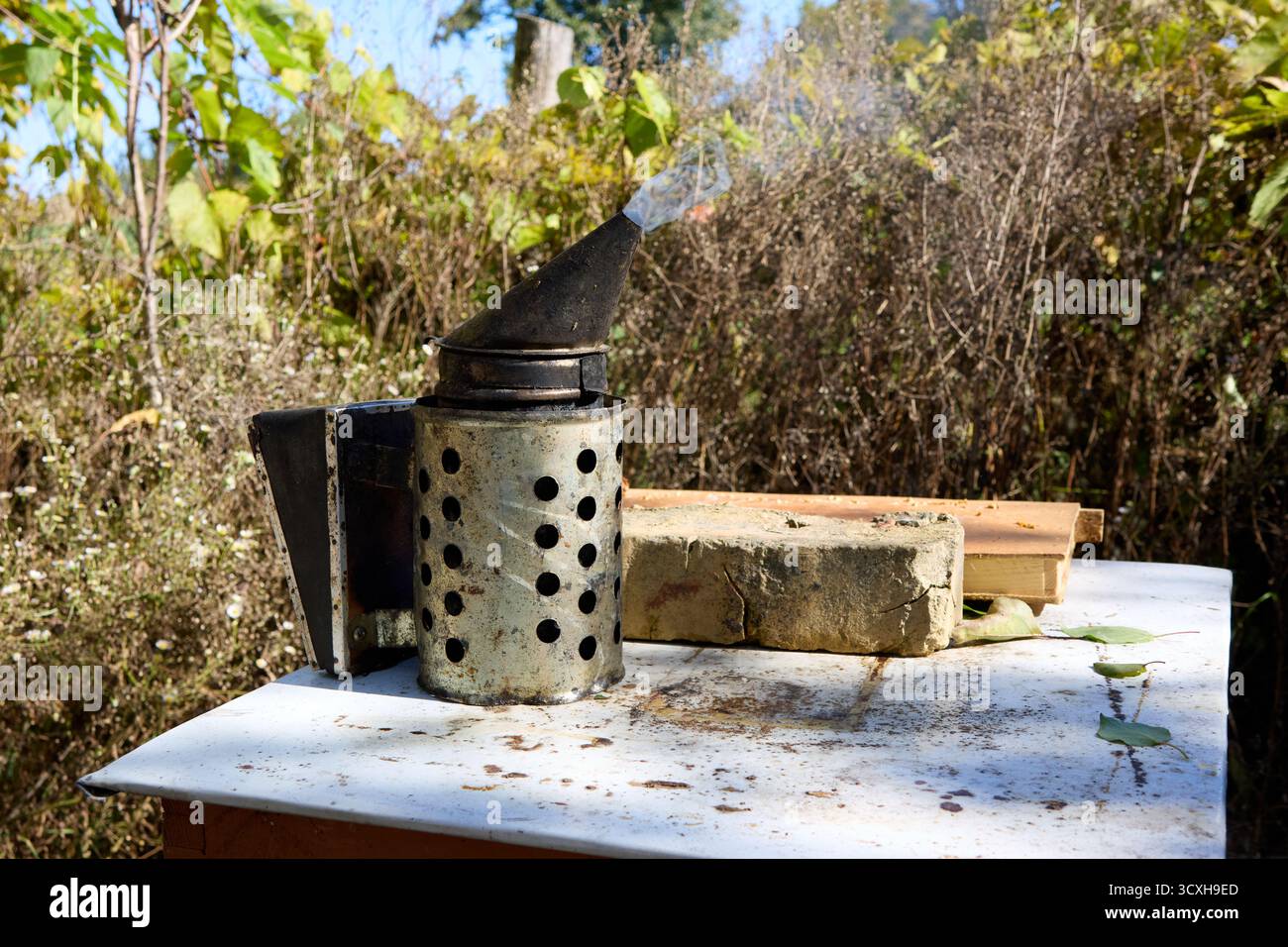Fumeur d'abeilles émettant de la fumée sur une table altérée entourée de feuillage naturel et d'outils apicoles en arrière-plan. Banque D'Images