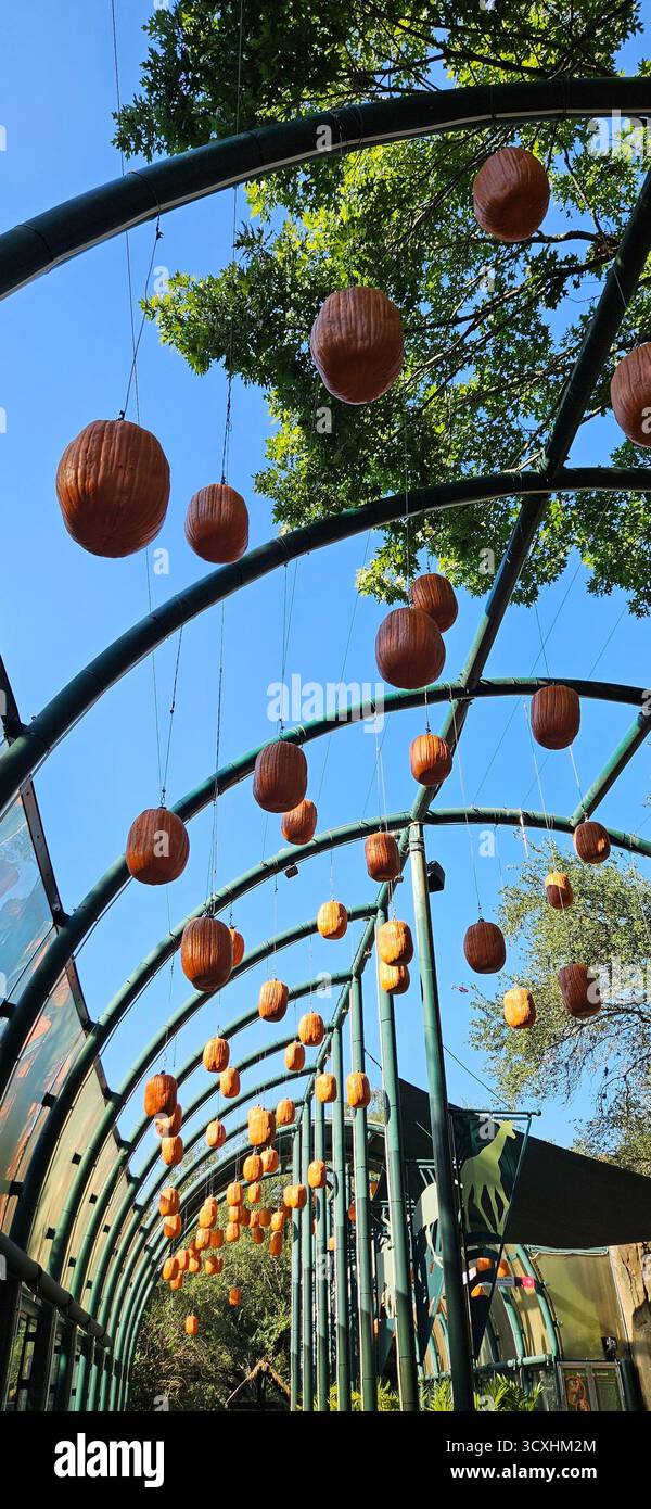 Magie de l'automne – décorations d'Halloween dans une promenade du parc au zoo de Houston Banque D'Images