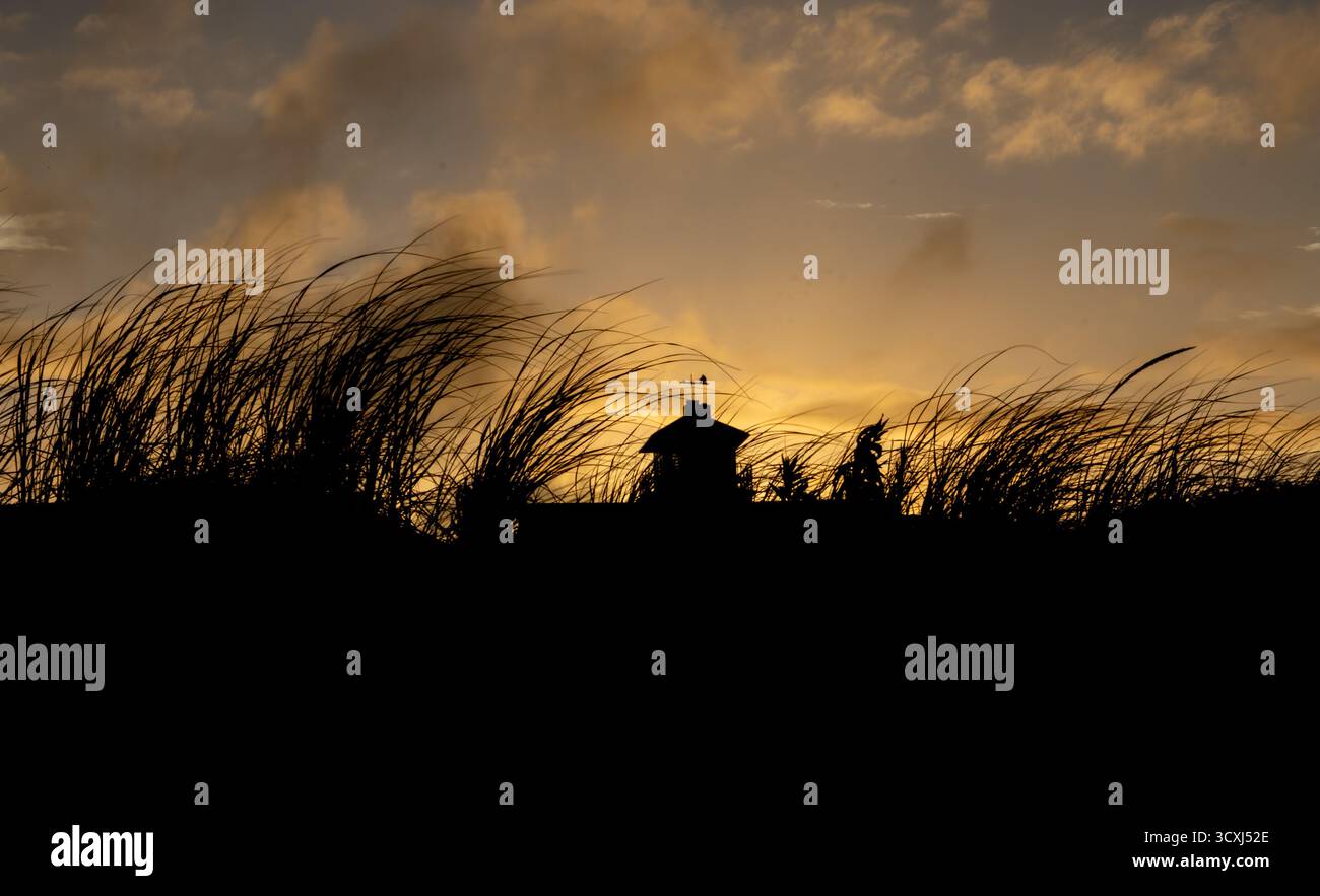 Golden Hour sur la plage ! Herbe de dune et silhouette de chalet contre un ciel dramatique. Vacances paisibles en bord de mer Banque D'Images