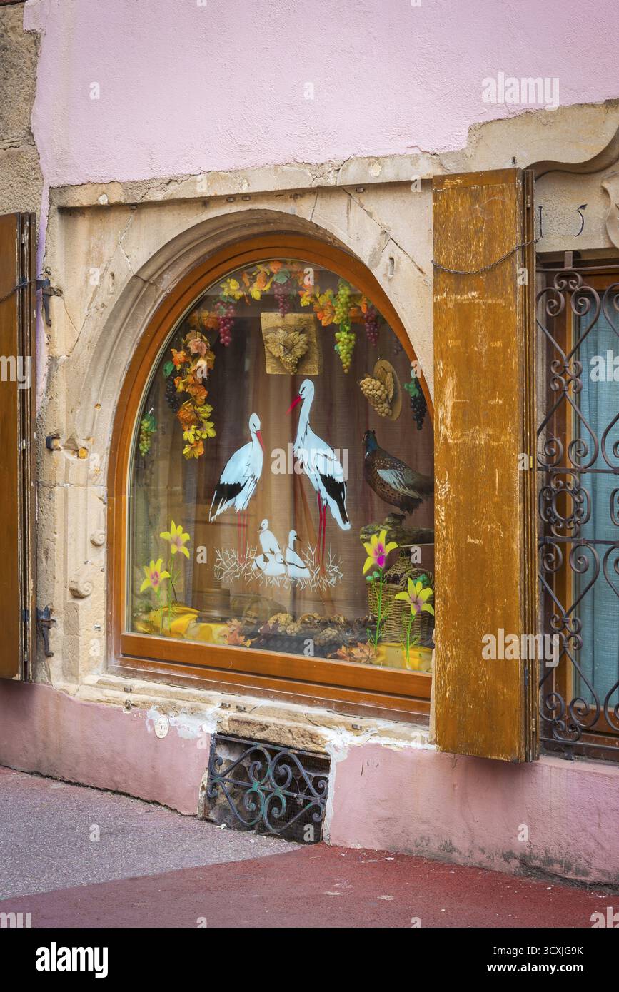 Vitrine avec cigogne, animal héraldique d'Alsace, Colmar Banque D'Images