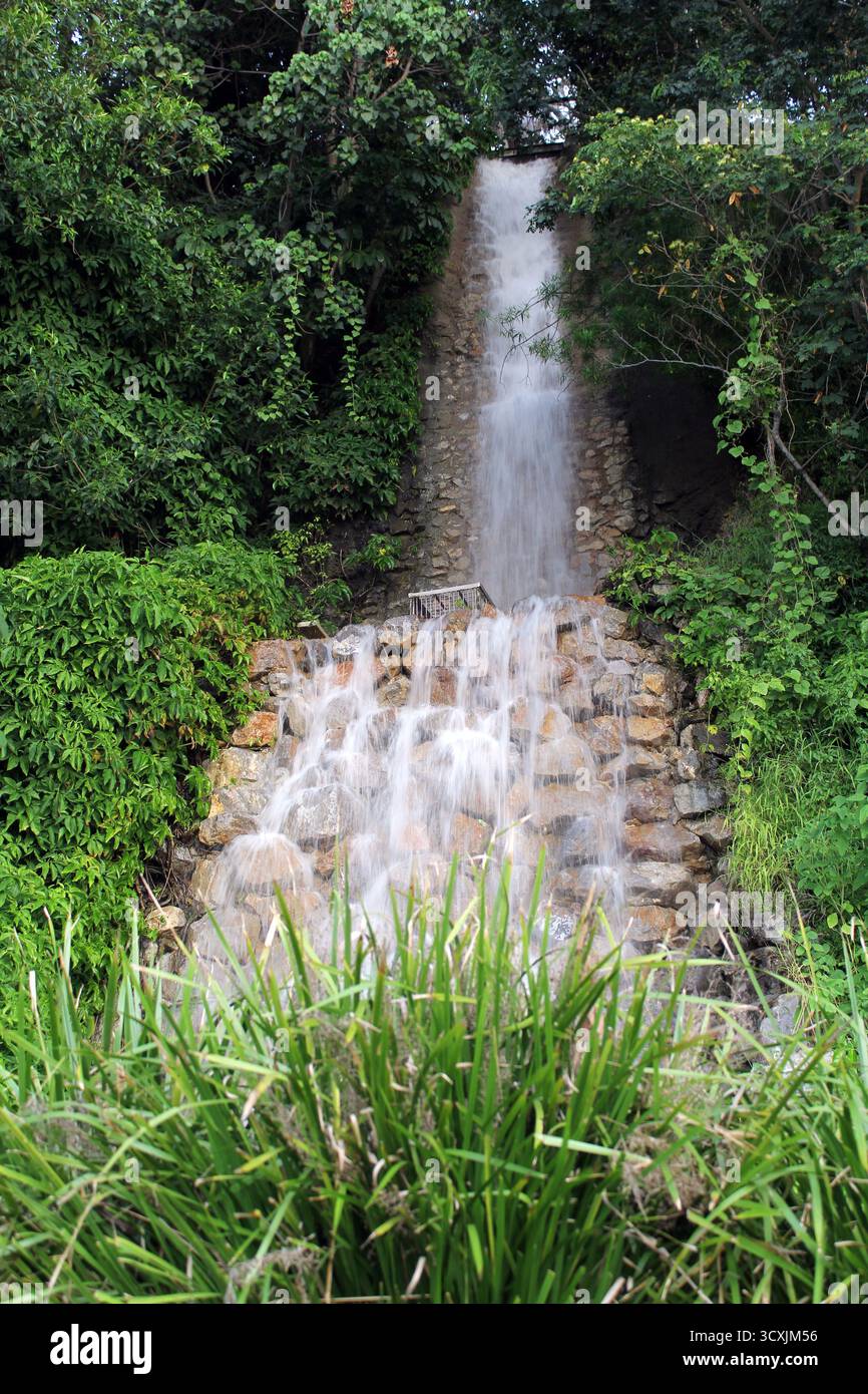 Chute d'eau descendant un mur de pierre entouré de plantes à East Shores à Gladstone, Queensland, Australie Banque D'Images
