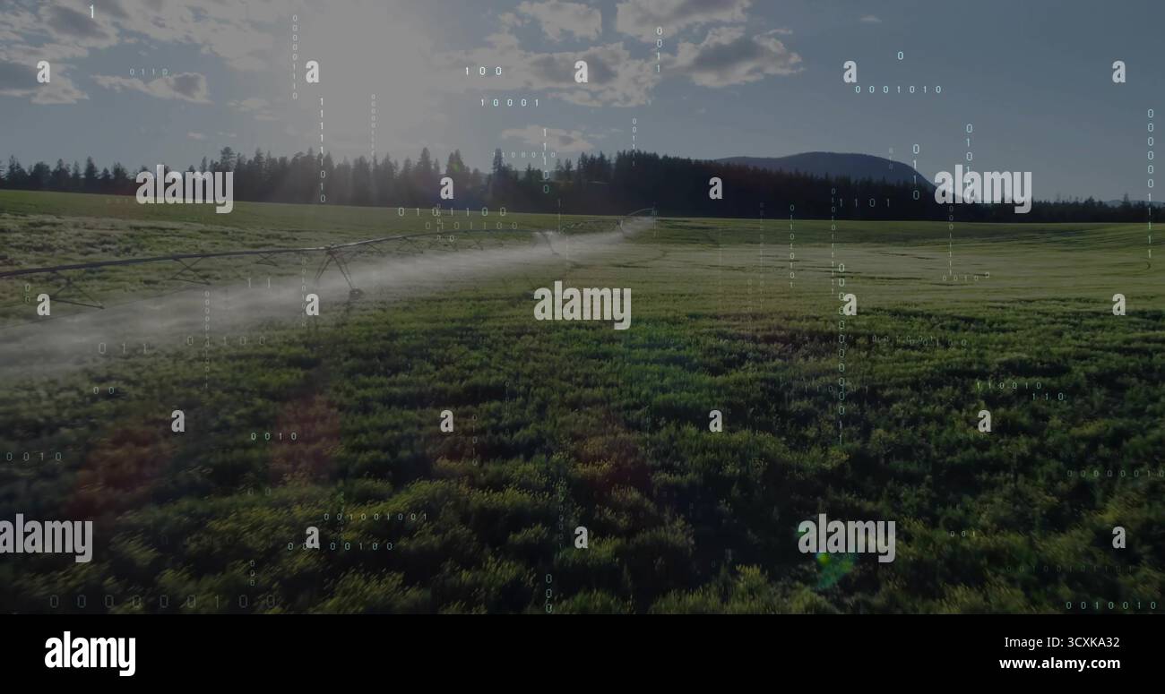 Pulvériser le système d'irrigation à pivot central arrosant les cultures sur les terres agricoles rurales, avec un brouillard d'eau fin Banque D'Images