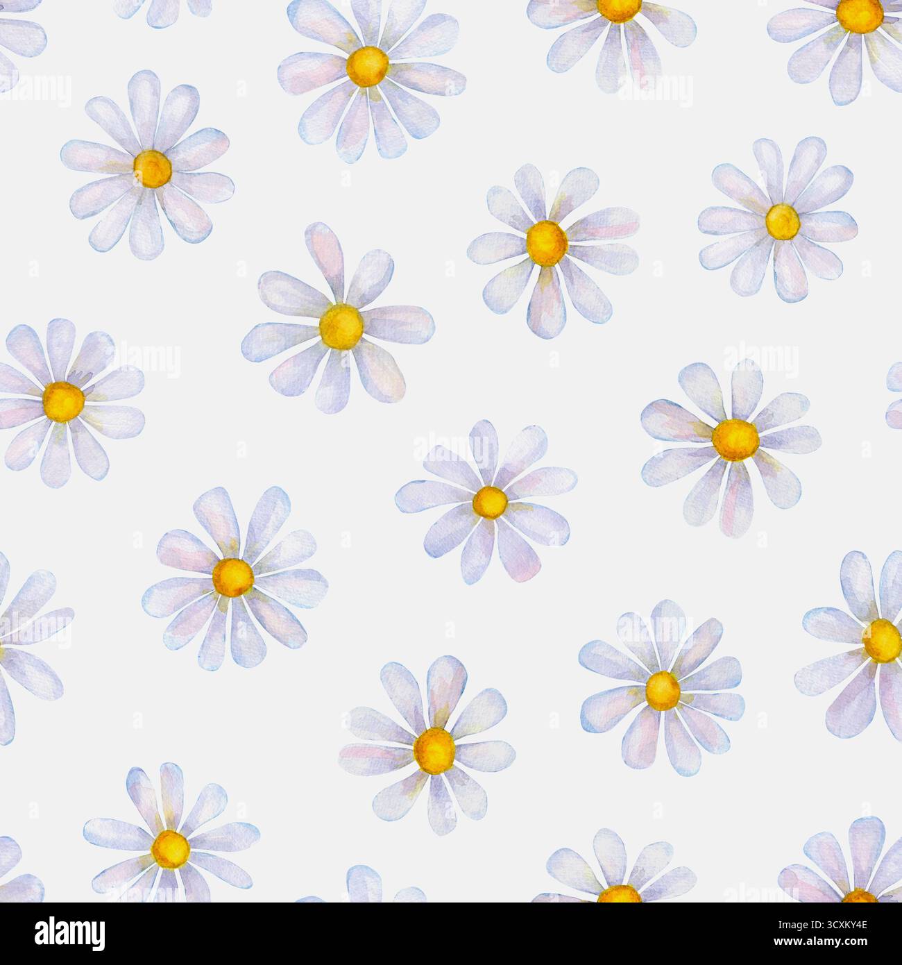 Fleurs de camomille aquarelle. Beau motif floral sans couture. Aquarelle dessinée à la main printemps été illustration botanique sur fond blanc. Prin Banque D'Images