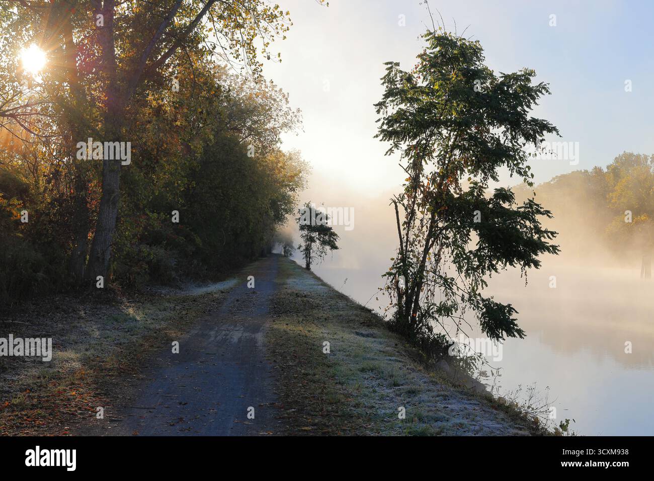 Le sentier en bord de canal disparaît dans le brouillard au lever du soleil Banque D'Images Le sentier en bord de canal disparaît dans le brouillard au lever du soleil Banque D'Images
