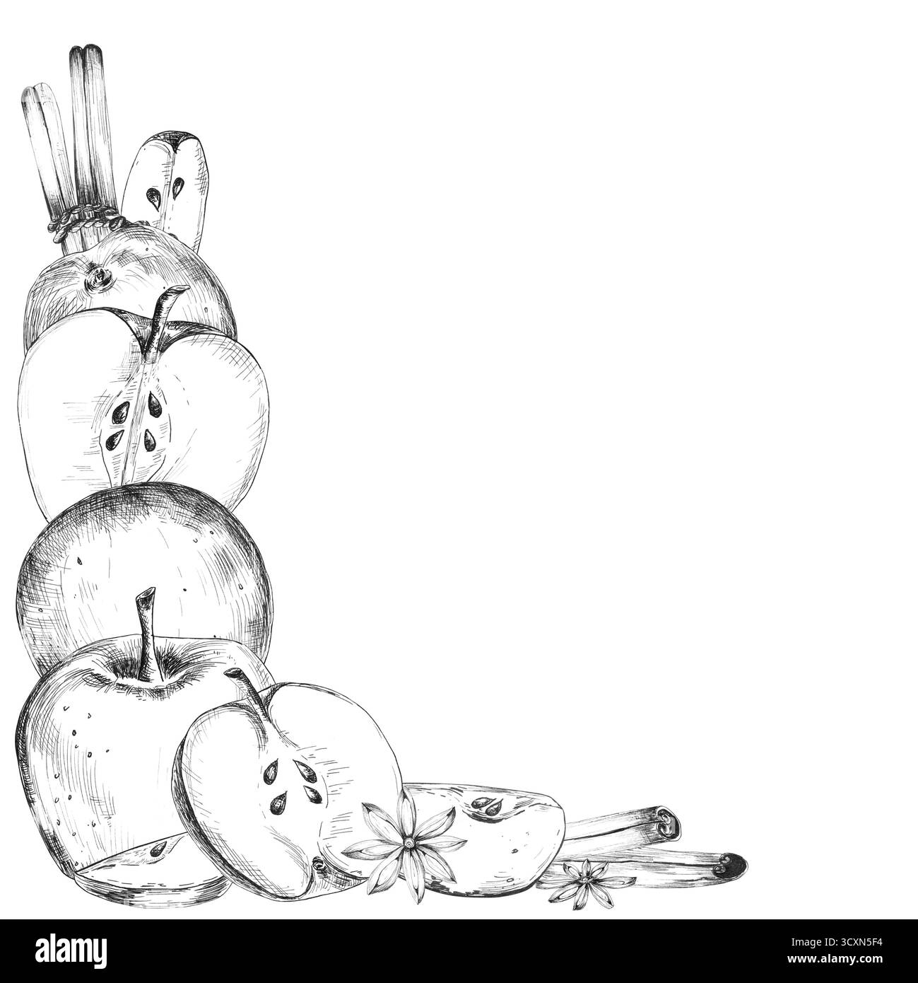 Composition des coins de pommes, tranches, cannelle, étoiles d'anis. Copier l'espace pour le texte. Clipart alimentaire d'automne. Illustration à l'encre dessinée à la main pour le thème de la nourriture Banque D'Images