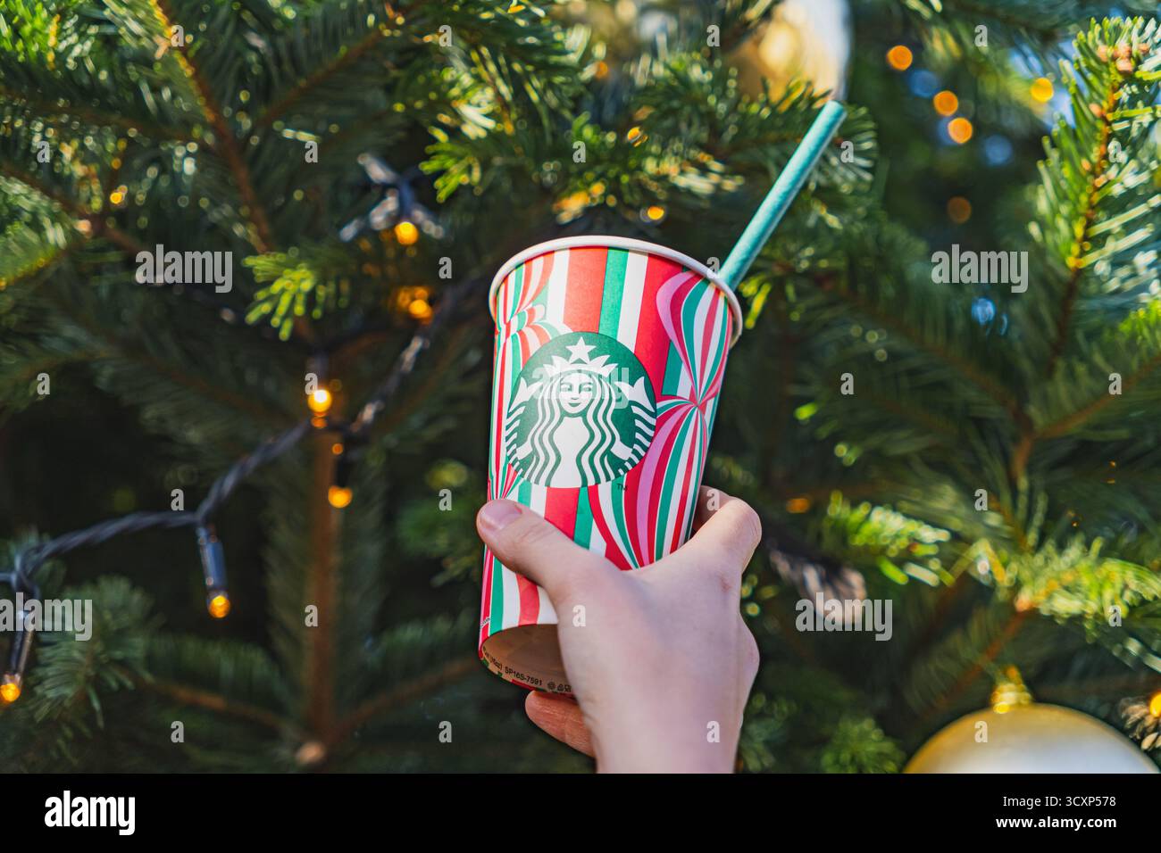 Main tenant une tasse Starbucks festive avec arbre de Noël en arrière-plan Banque D'Images