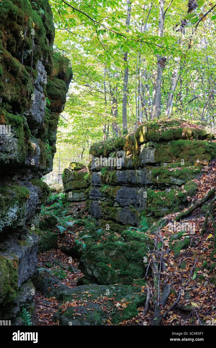 Sentier scénique de fissure d'automne à travers Mossy Rocks et arbres ensoleillés Banque D'Images