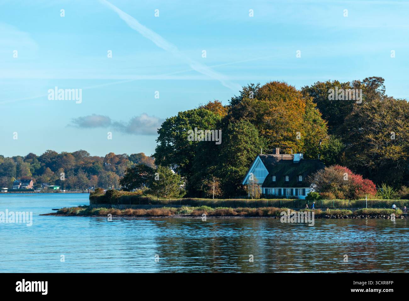 Heikendorf, villas le long du rivage, bois avec des couleurs d'automne, fjord de Kiel, mer Baltique, Schleswig-Holstein, Allemagne du Nord, Europe Banque D'Images