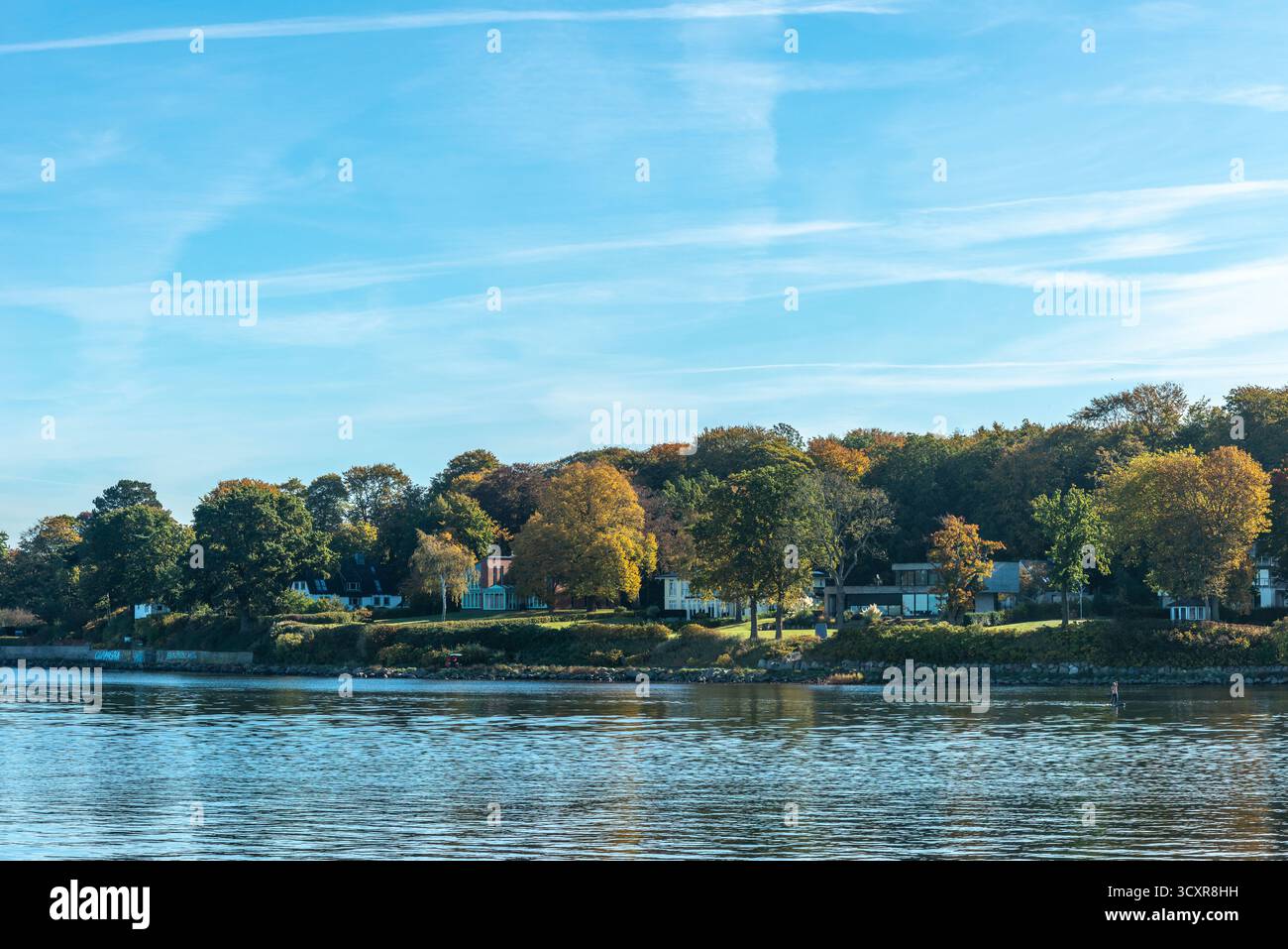 Heikendorf, villas le long du rivage, bois avec des couleurs d'automne, fjord de Kiel, mer Baltique, Schleswig-Holstein, Allemagne du Nord, Europe Banque D'Images