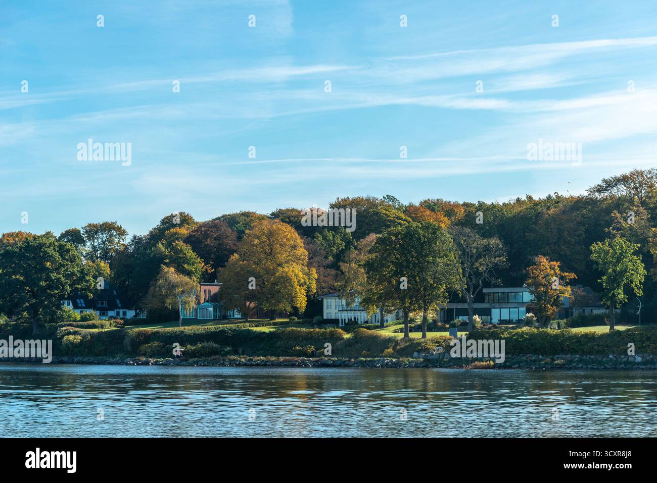 Heikendorf, villas le long du rivage, bois avec des couleurs d'automne, fjord de Kiel, mer Baltique, Schleswig-Holstein, Allemagne du Nord, Europe Banque D'Images