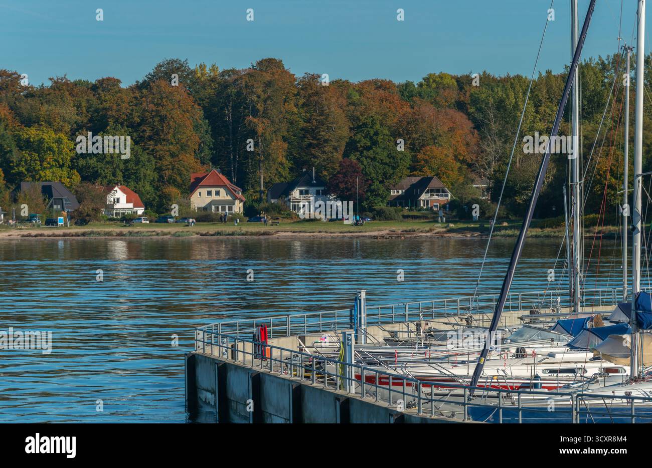 Villas le long du rivage, bois avec des couleurs d'automne, fjord de Kiel, mer Baltique, Schleswig-Holstein, Allemagne du Nord, Europe Banque D'Images