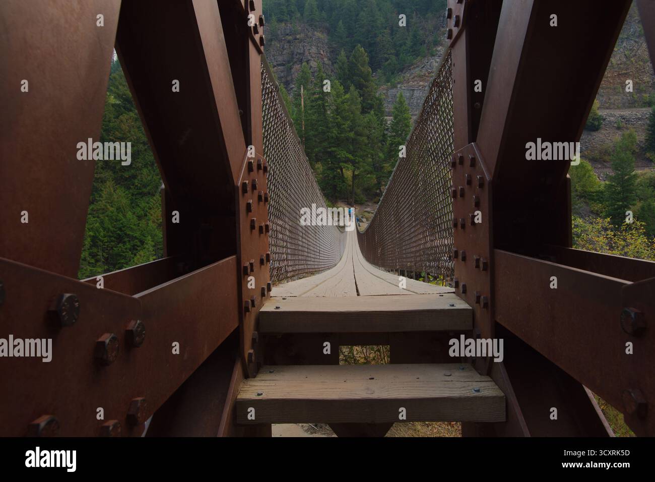 Long pont suspendu en bois oscillant au-dessus de Forest Canyon avec des gens marchant à distance. Forêt nationale de Kootenai dans le Montana. Suspension métallique rouillée Banque D'Images
