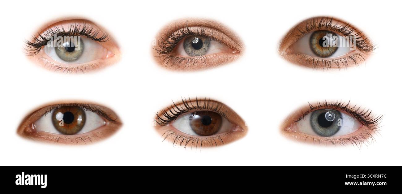 Ensemble de nombreux yeux humains différents sur fond blanc Banque D'Images