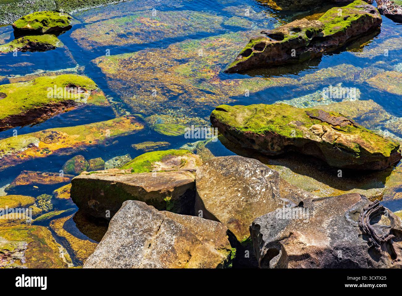 Rochers aux couleurs vives et eau claire dans une scène vibrante de marée avec les textures et les couleurs de l'environnement marin, rockbassins, Manly, Sydney Banque D'Images