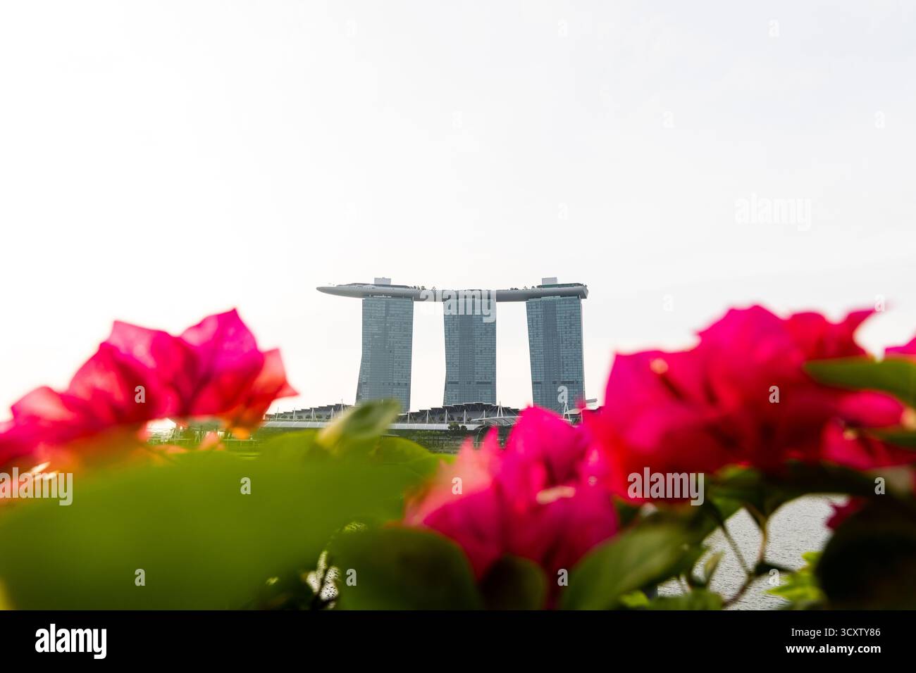 Une vue florale de Marina Bay Sands Hotel Tower 1 Banque D'Images