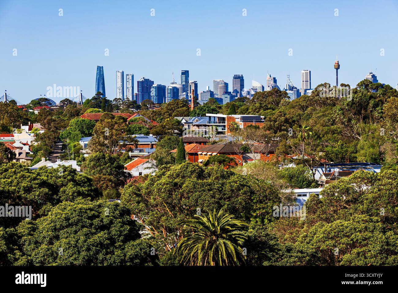 Vue sur les gratte-ciel de Sydney avec verdure au premier plan et mélange de bâtiments modernes et de maisons traditionnelles créant un paysage urbain Banque D'Images