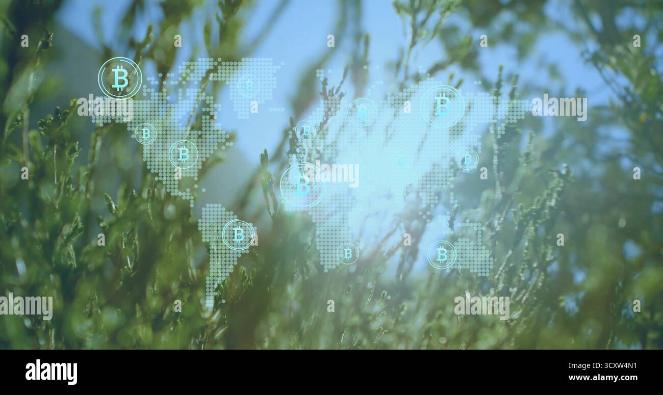 Graphique de carte du monde en pointillés avec des icônes Bitcoin s'affichant sur le feuillage végétal vert ensoleillé dense Banque D'Images