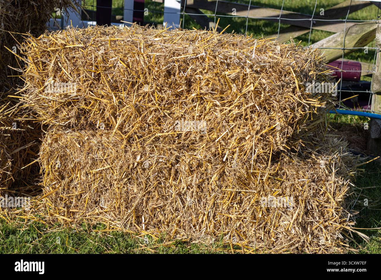 Gros plan détaillé d'une balle de paille d'orge en plein soleil au Devon County Show - mai 2025 à Exeter, Royaume-Uni Banque D'Images