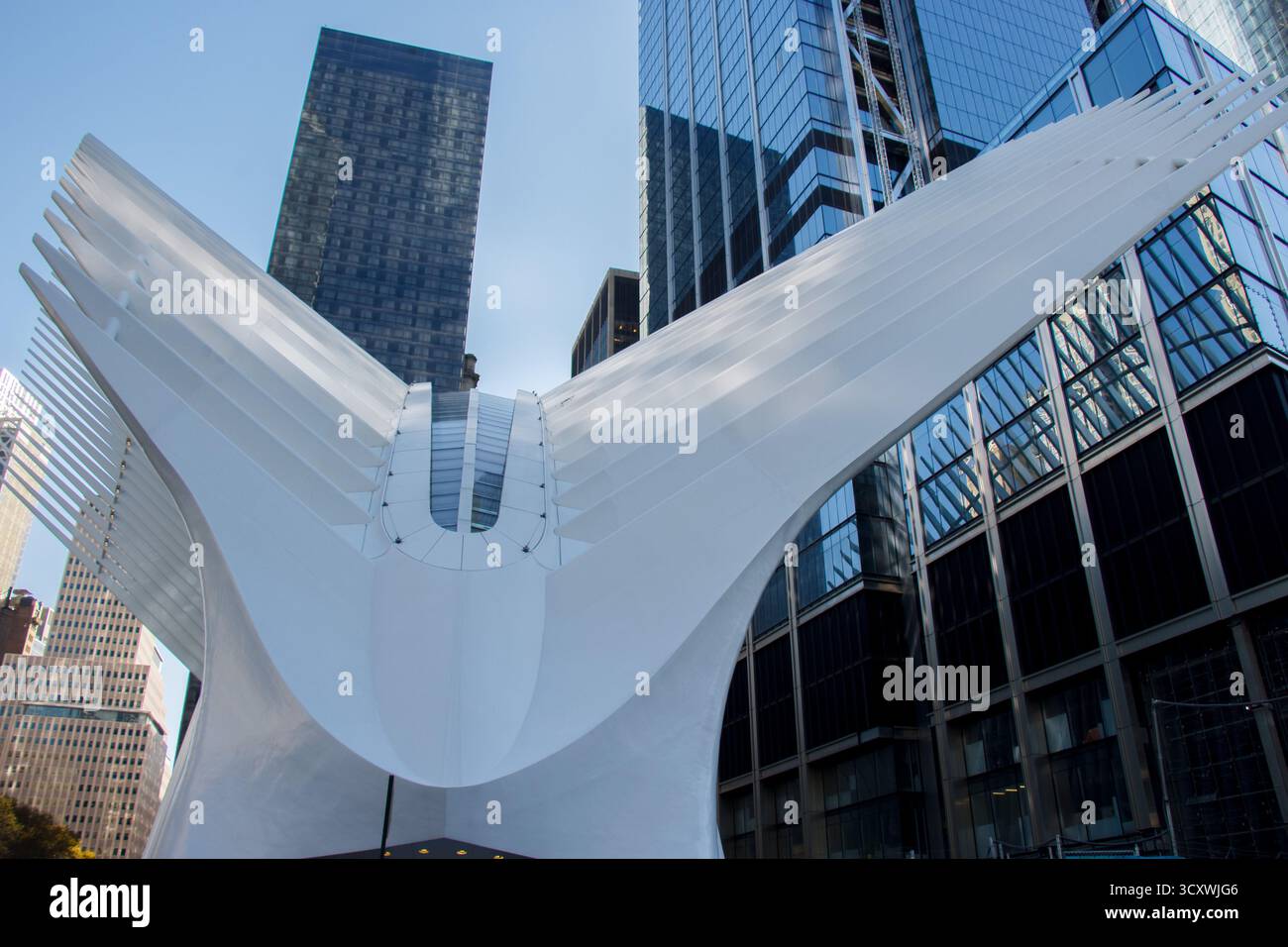 L'Oculus World Trade Center architecture moderne et immeubles de bureaux dans le quartier financier, Lower Manhattan, New York City, États-Unis Banque D'Images