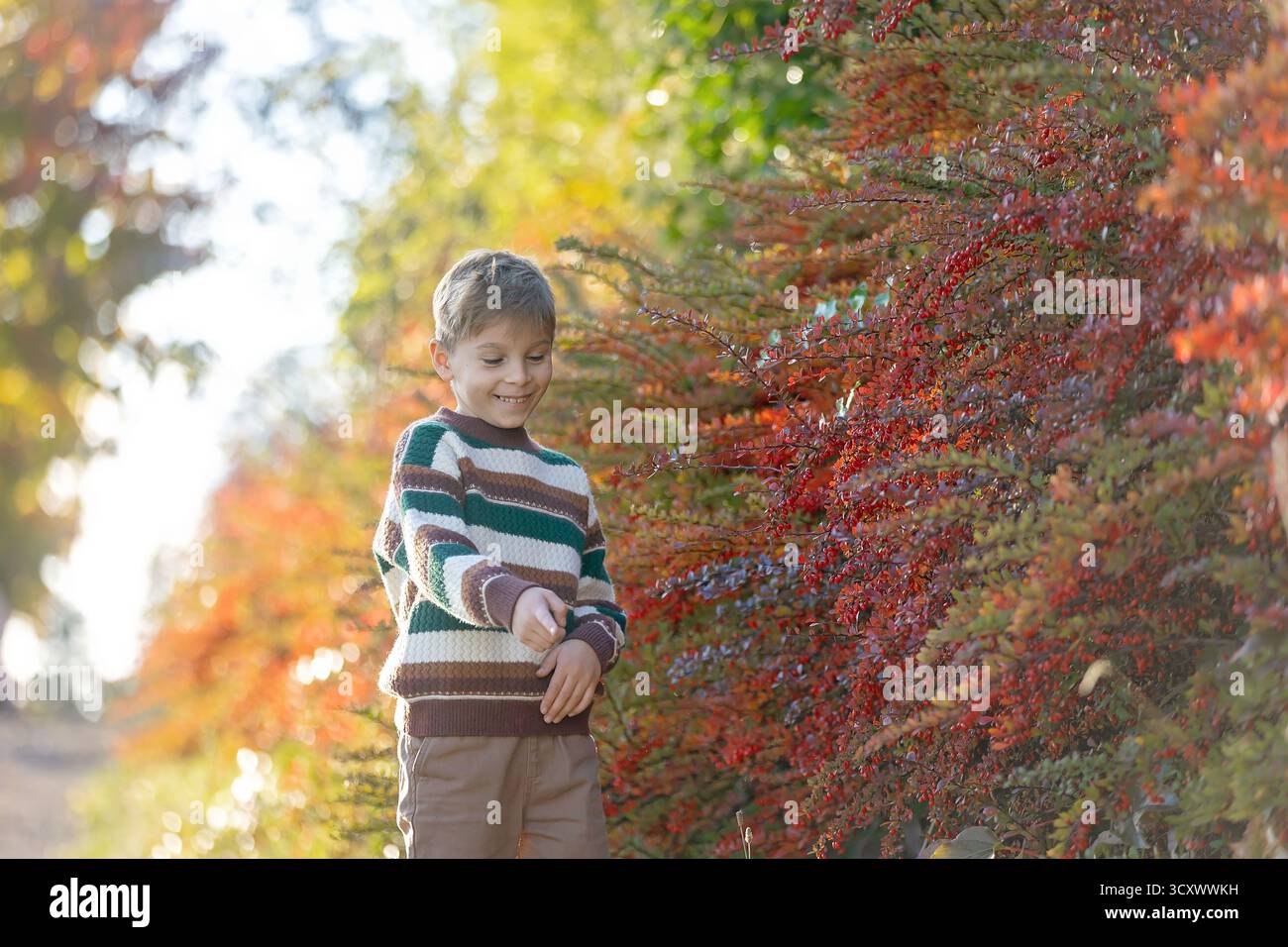 Adorable petit enfant, garçon dans le parc le jour d'automne, belle journée ensoleillée, citrouilles et décoration de champignons dans un panier Banque D'Images