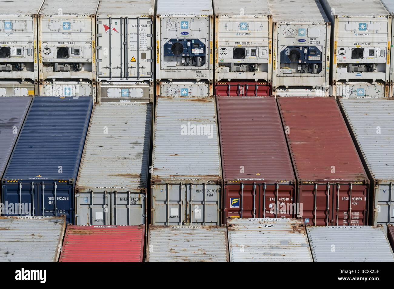 DANEMARK, Aabenraa Havn, porte-conteneurs Laura Maersk, Maersk conteneur de 40 pieds et conteneur de refroidissement sur le pont Banque D'Images