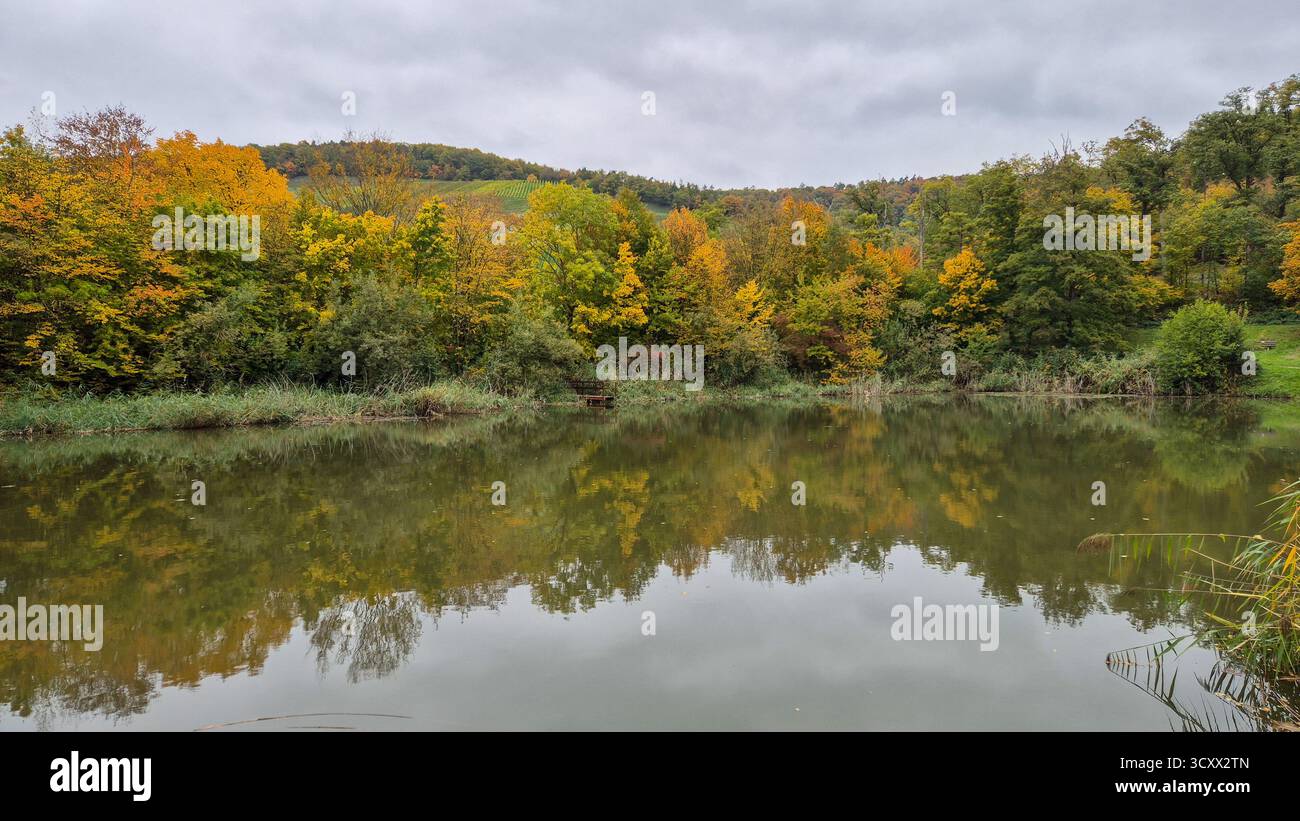 Paysage d'automne avec des arbres colorés reflétant dans l'eau calme du lac, paysage d'automne serein et feuillage vibrant - Image de stock capturée avec un smartphone
