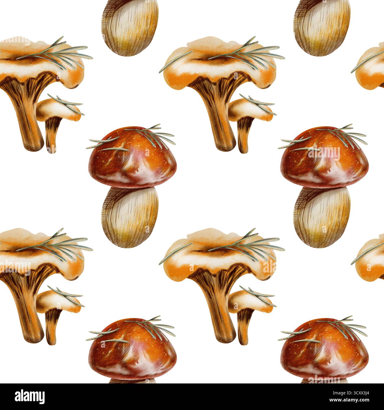 Modèle sans couture d'automne avec chanterelles, boletus de bouleau brun, champignons boletus à chapeau rouge avec aiguilles de pin, servant de symboles de sérénité d'automne Banque D'Images