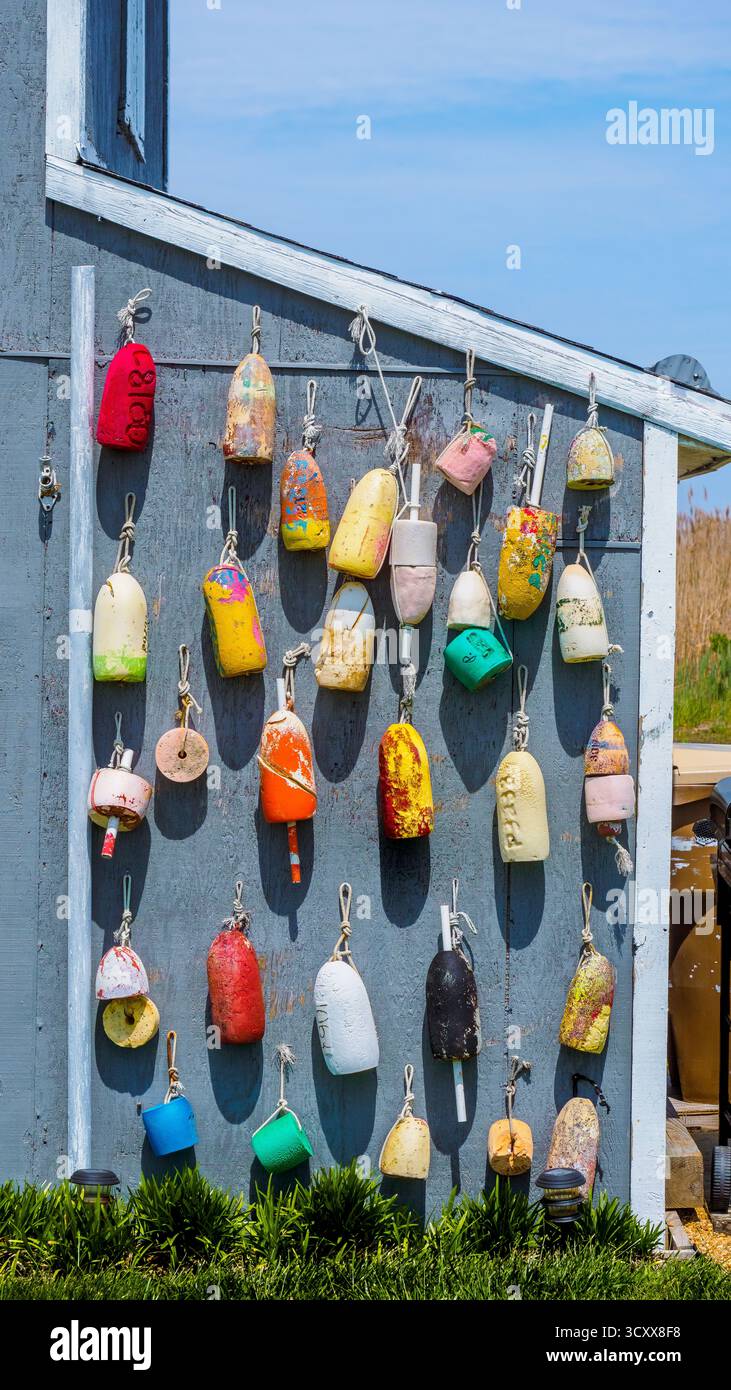 Bouées sur une maison de bord de mer qui sont multicolores comme affichage nautique Banque D'Images